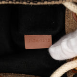 Small Triomphe Raffia Drawstring Bucket Bag Brown - Lab Luxury Resale