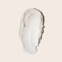 Everist Concentrate Conditioner bottle with sleek packaging, showcasing the beauty product designed for nourishing hair.