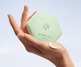 GUERLAIN  AQUA ALLEGORIA Rosa Verde - Hand Cream NIB - LAB