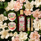 Gucci  Luminous Matte Powder Blush (many shades) NWOB - LAB